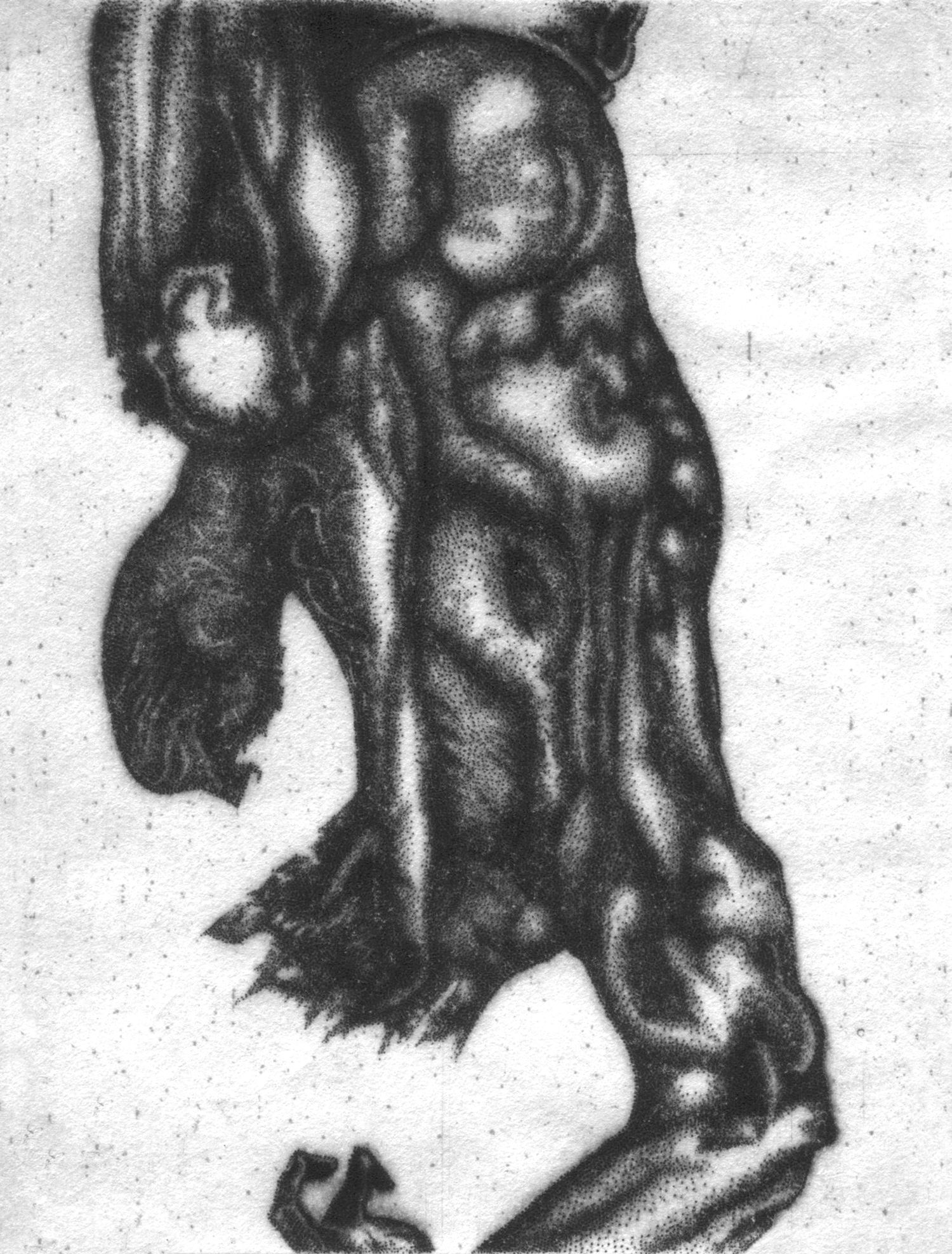 2010, Que peut le corps, pointe sur cuivre, 6cm x 8cm