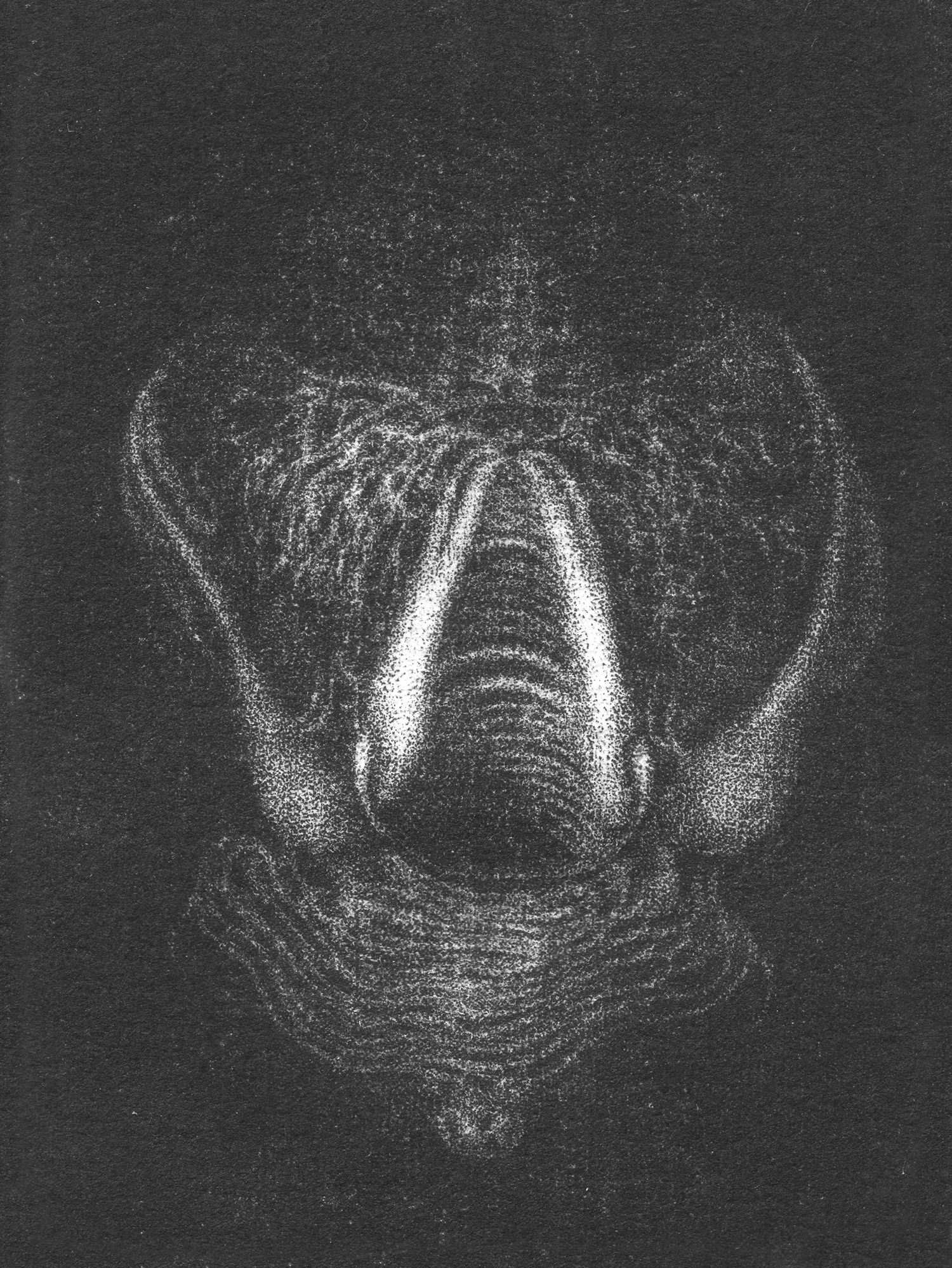 2012, Cordes, manière noire sur cuivre, 6cm x 8cm